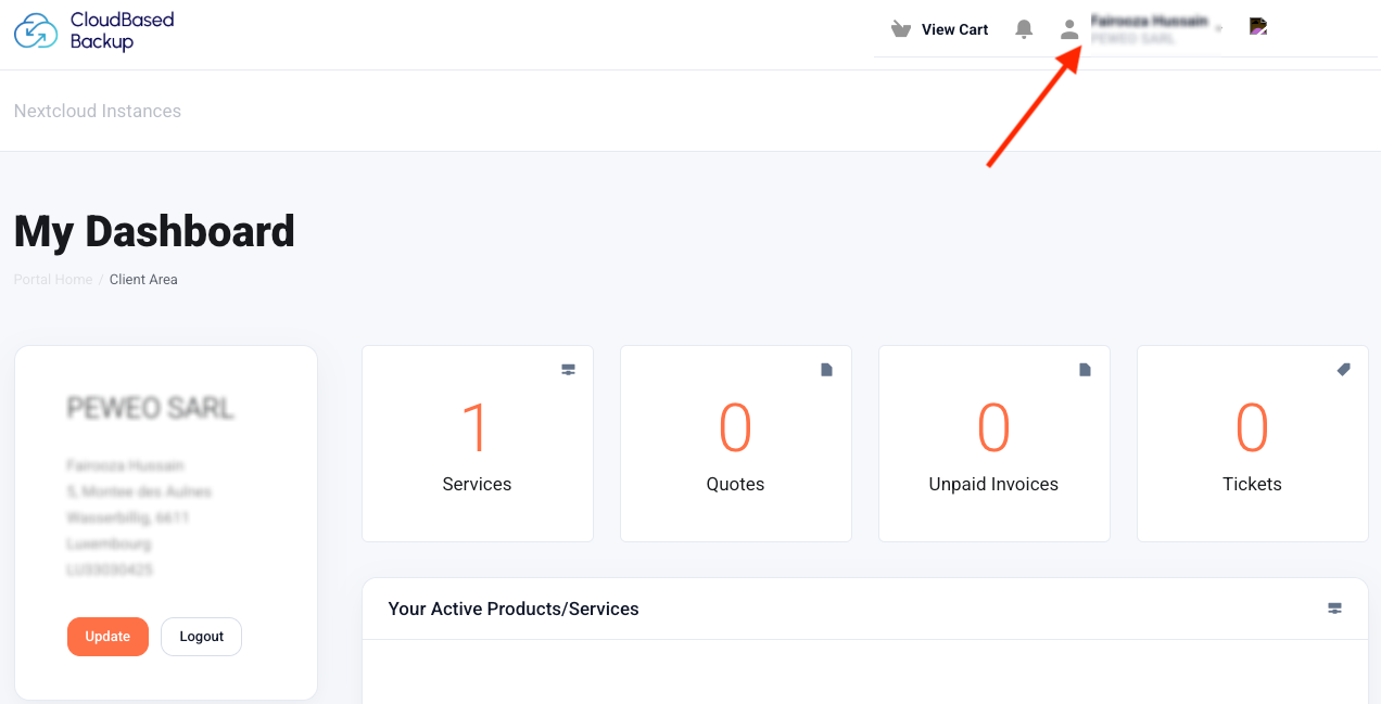 CloudBased Backup client dashboard showing account overview and services