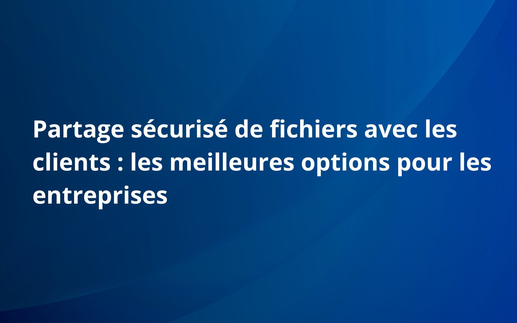 Partage sécurisé de fichiers avec les clients : les meilleures options pour les entreprises